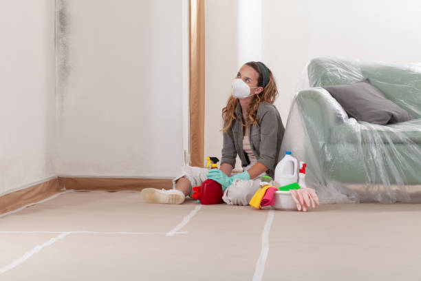 Reliable Attic Mold Removal contractor in Dornsife, PA by WQB Mold Removal